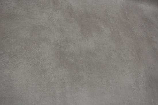 Essentials 280T : POLISHED CONCRETE (ref:6748244)