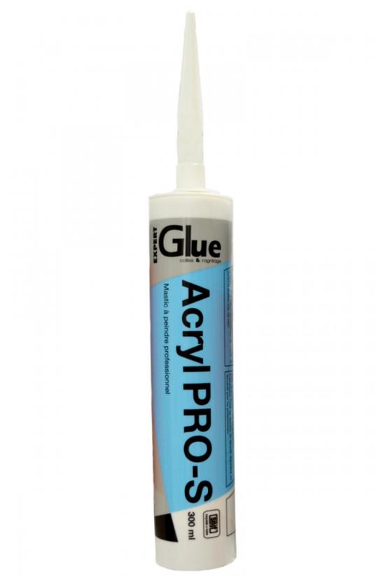 MASTIC A PEINDRE : MASTIC A PEINDRE CF ACRYL 310