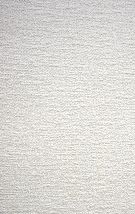 Unis : Blanc Ã  peindre crépi 09008.10 